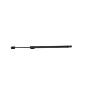 Tailgate Strut - RIDEX 219G0762