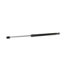 Tailgate Strut - RIDEX 219G0774