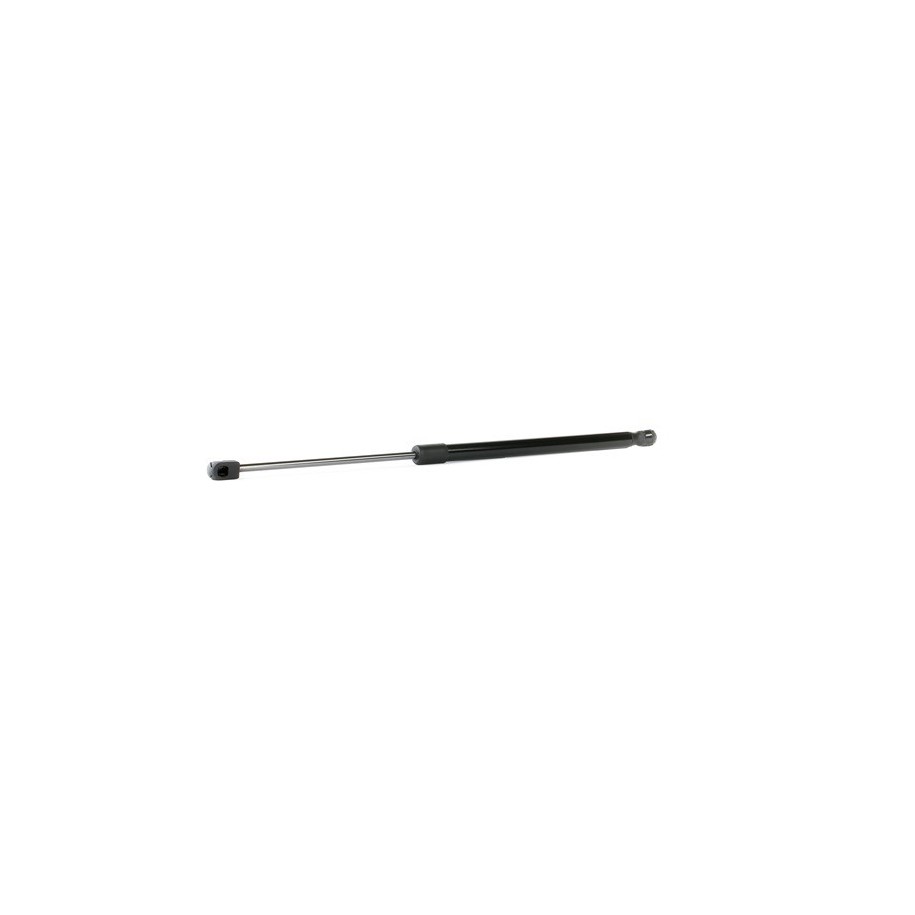 Tailgate Strut - RIDEX 219G0774