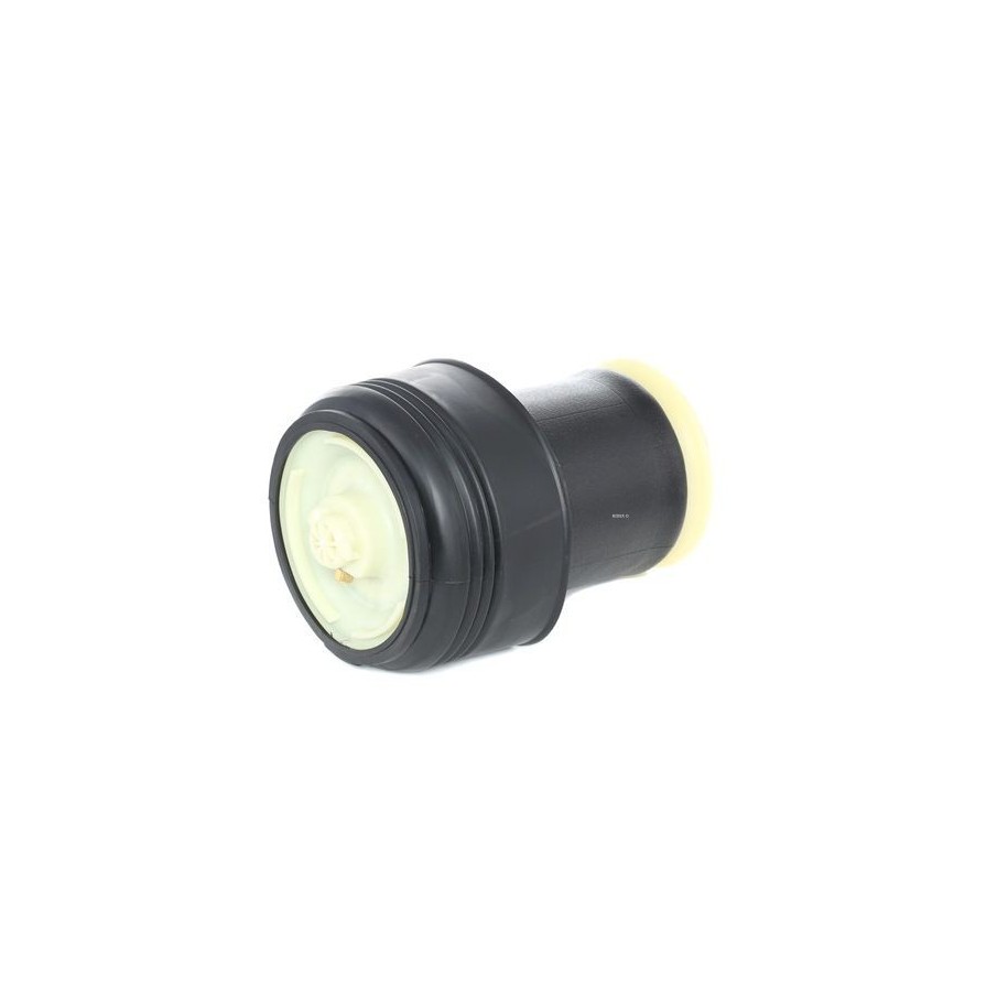 Suspension Air Spring - RIDEX 4119A0006