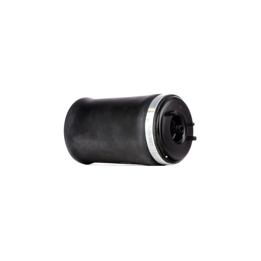 Suspension Air Spring - RIDEX 4119A0009