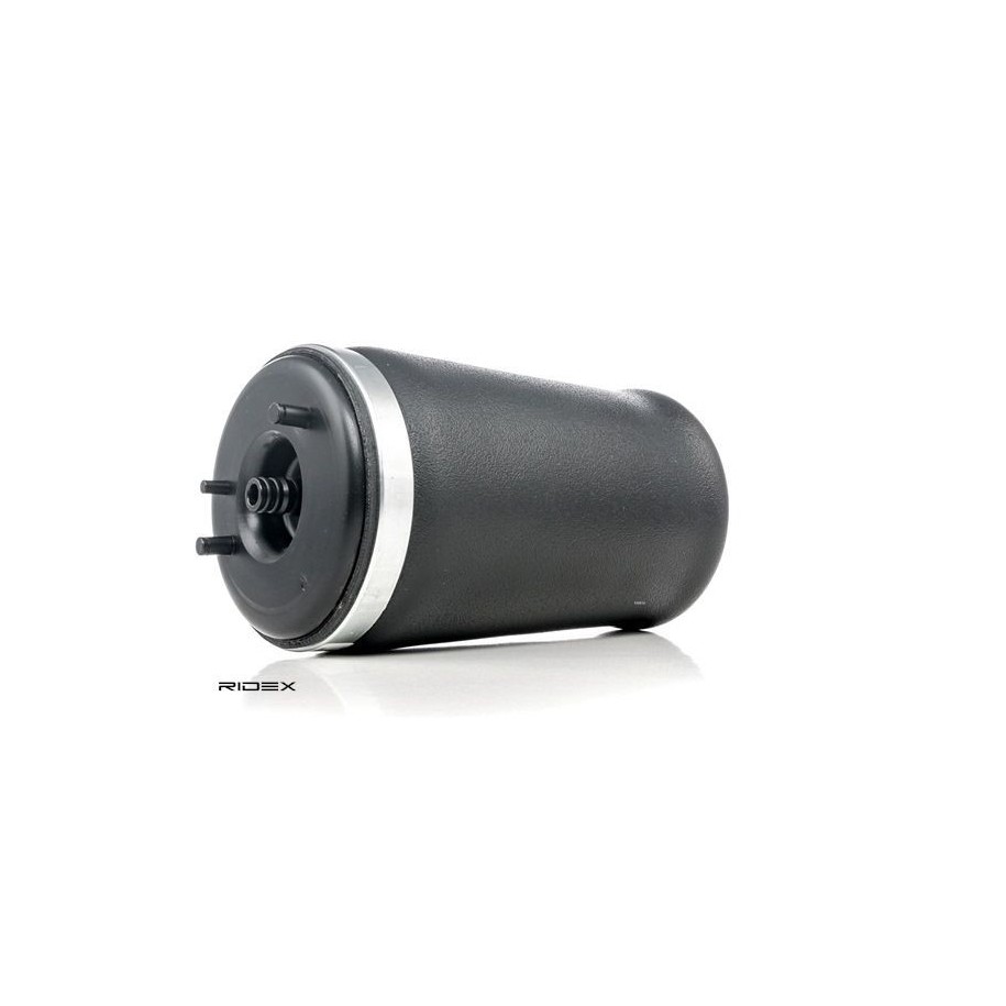Suspension Air Spring - RIDEX 4119A0010