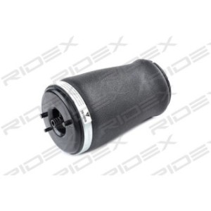 Suspension Air Spring - RIDEX 4119A0013