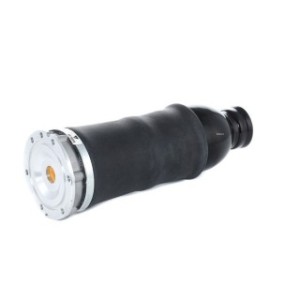 Suspension Air Spring - RIDEX 4119A0022