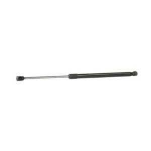 Tailgate Strut - RIDEX 219G0859
