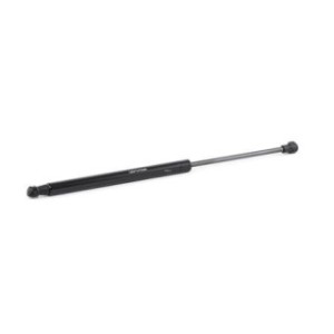 Rear Windscreen Gas Spring - RIDEX 2454G0021
