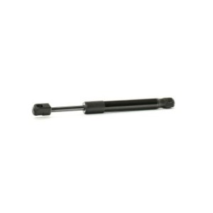 Rear Windscreen Gas Spring - RIDEX 2454G0022