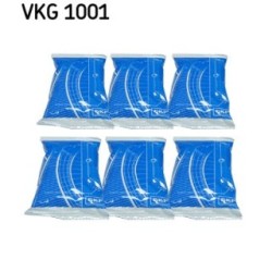 Grease SKF VKG1001