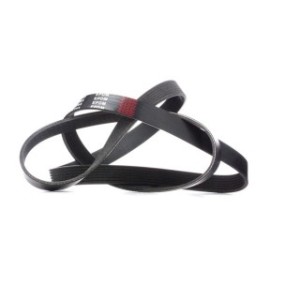 V Ribbed Belt - RIDEX 305P0323