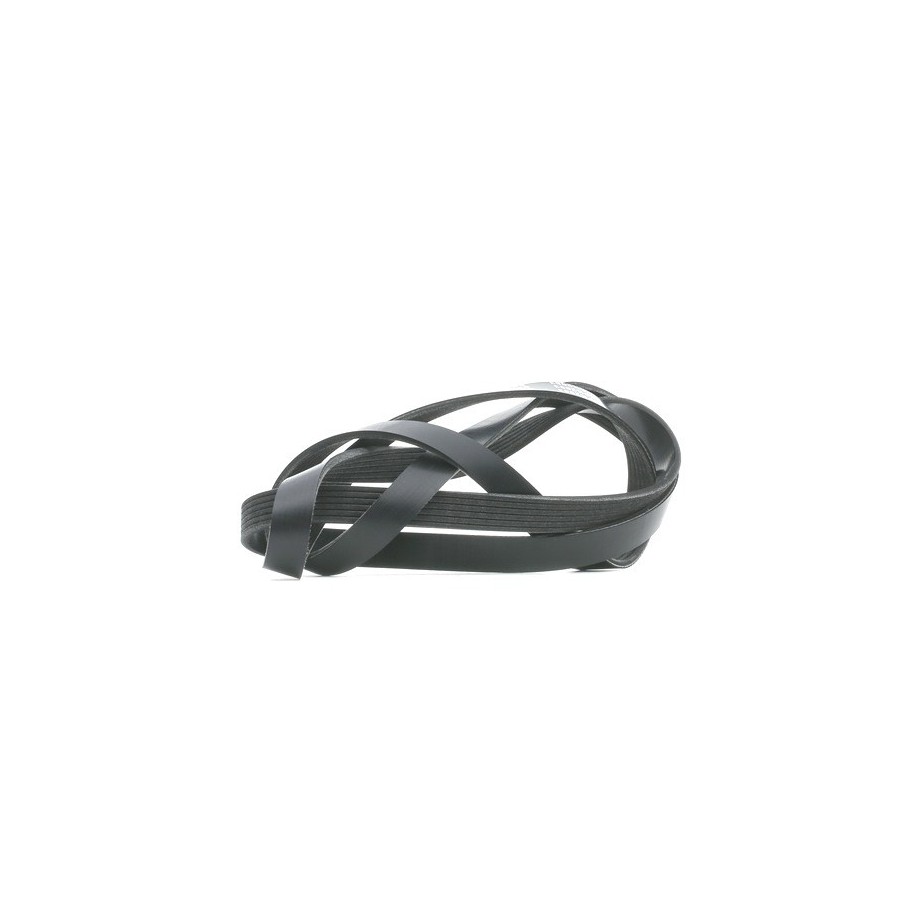 V Ribbed Belt - RIDEX 305P0333
