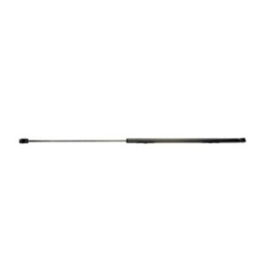 Tailgate Strut - RIDEX 219G0598