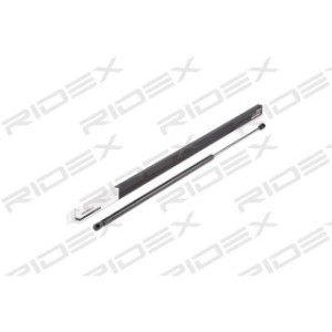 Tailgate Strut - RIDEX 219G0598