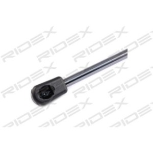 Tailgate Strut - RIDEX 219G0598