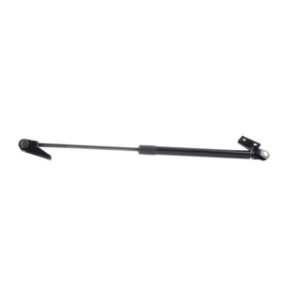 Tailgate Strut - RIDEX 219G0602