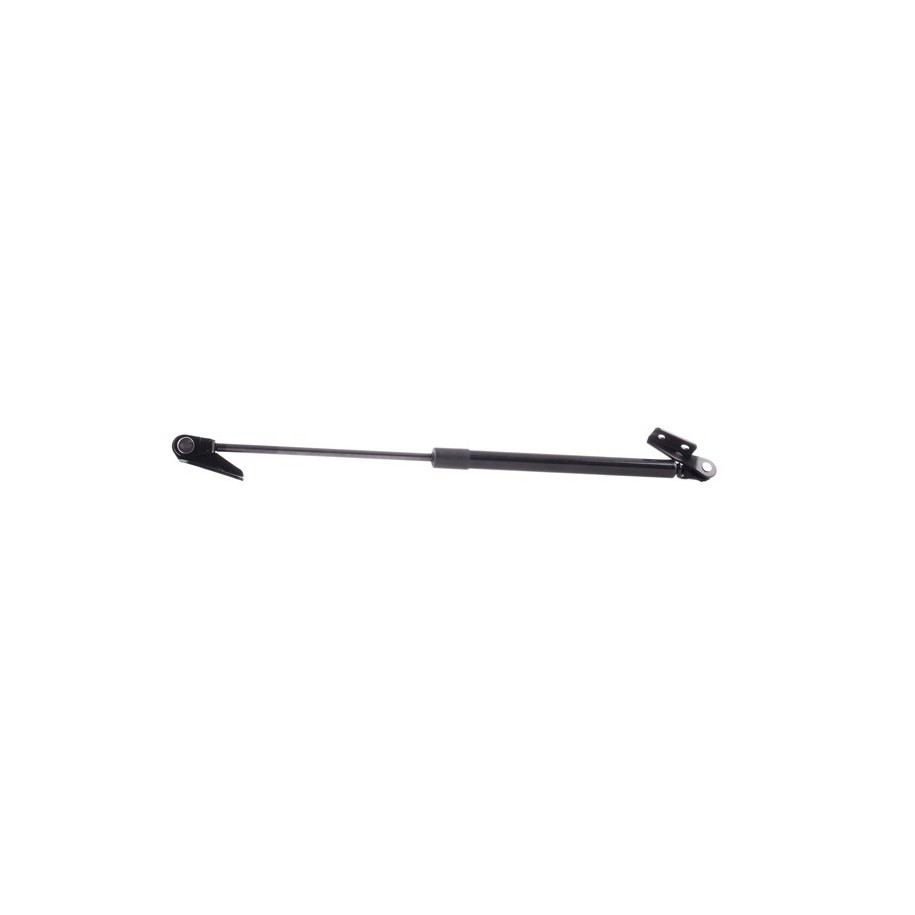 Tailgate Strut - RIDEX 219G0602
