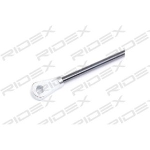 Tailgate Strut - RIDEX 219G0605