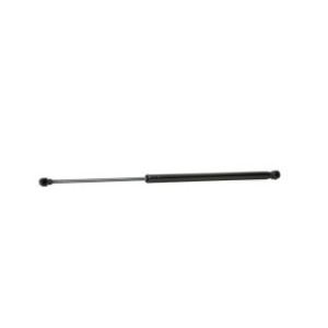 Tailgate Strut - RIDEX 219G0391