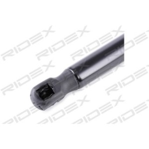 Tailgate Strut - RIDEX 219G0391
