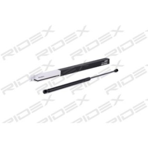 Tailgate Strut - RIDEX 219G0391