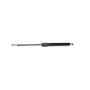 Tailgate Strut - RIDEX 219G0532