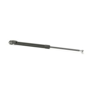 Tailgate Strut - RIDEX 219G0534