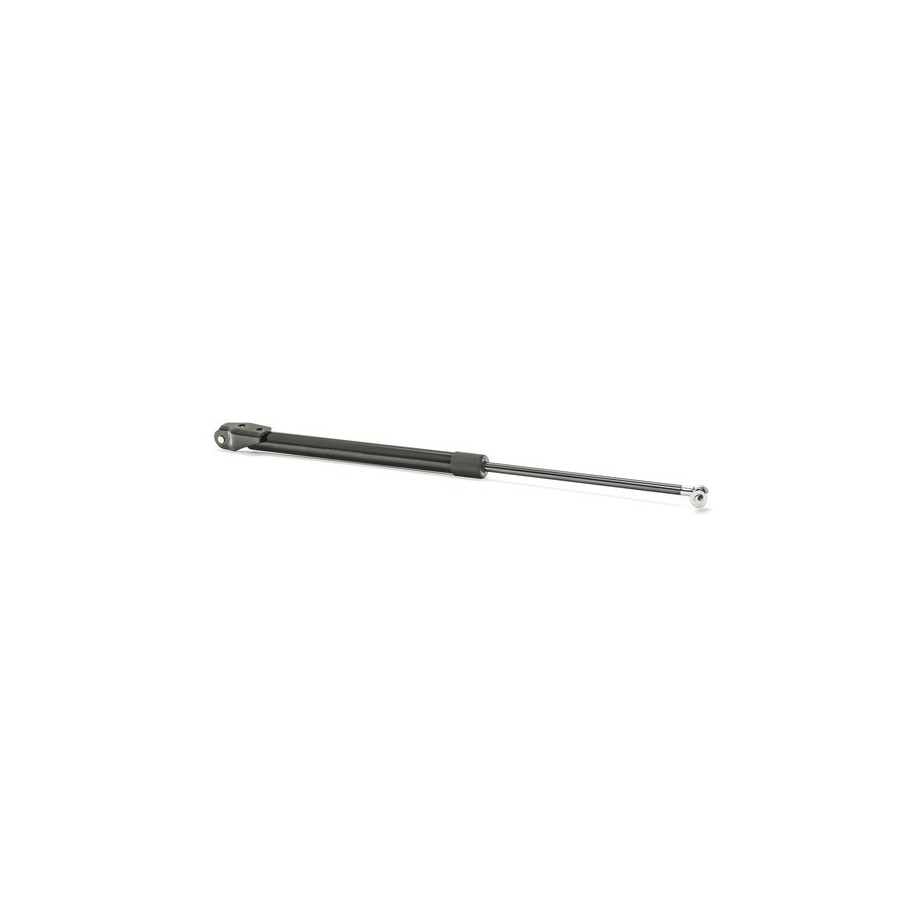 Tailgate Strut - RIDEX 219G0534