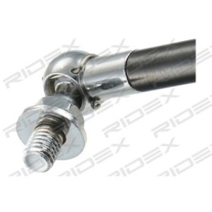 Tailgate Strut - RIDEX 219G0534