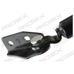 Tailgate Strut - RIDEX 219G0534