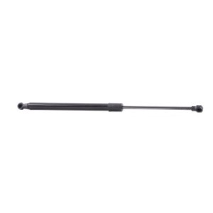 Tailgate Strut - RIDEX 219G0552