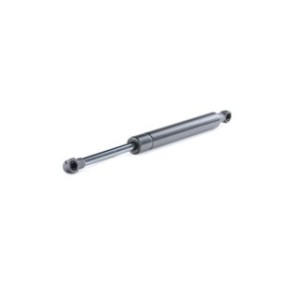 Tailgate Strut - RIDEX 219G0567