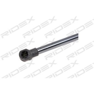 Tailgate Strut - RIDEX 219G0567