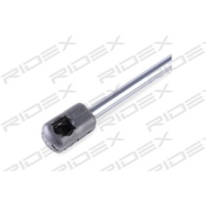 Tailgate Strut - RIDEX 219G0576