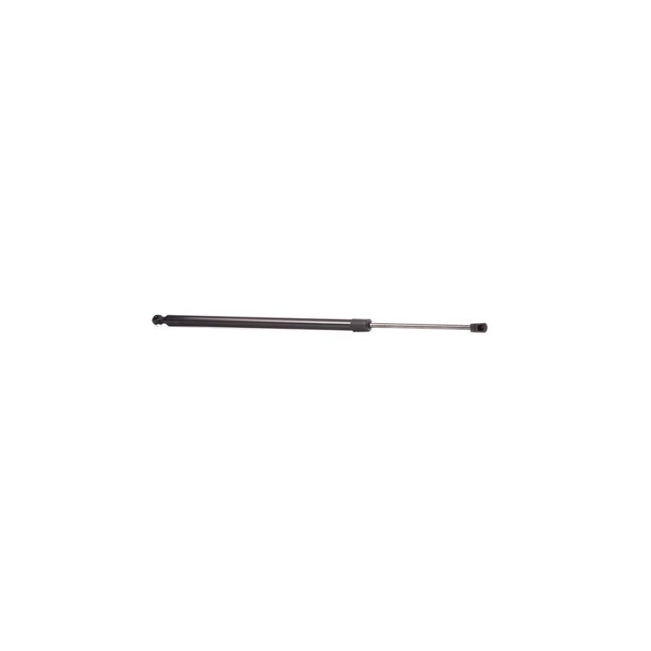 Tailgate Strut - RIDEX 219G0589