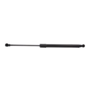 Tailgate Strut - RIDEX 219G0610