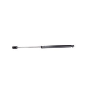 Tailgate Strut - RIDEX 219G0614