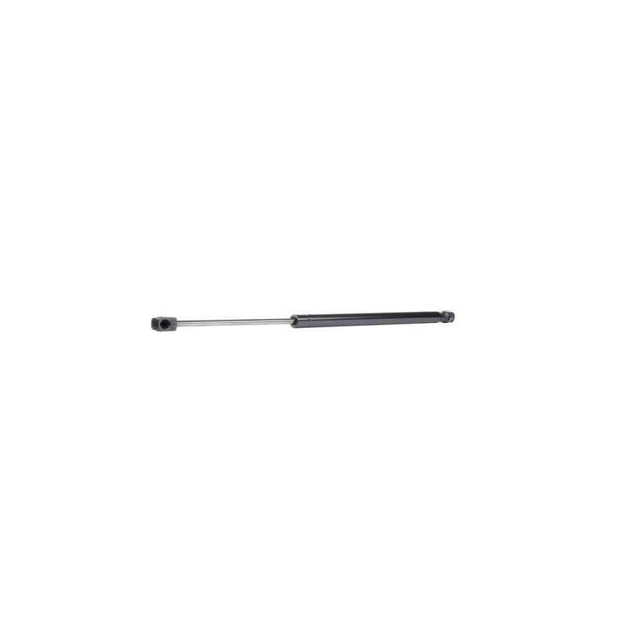 Tailgate Strut - RIDEX 219G0614