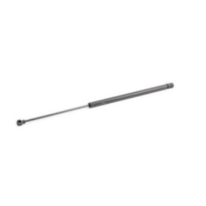 Tailgate Strut - RIDEX 219G0622