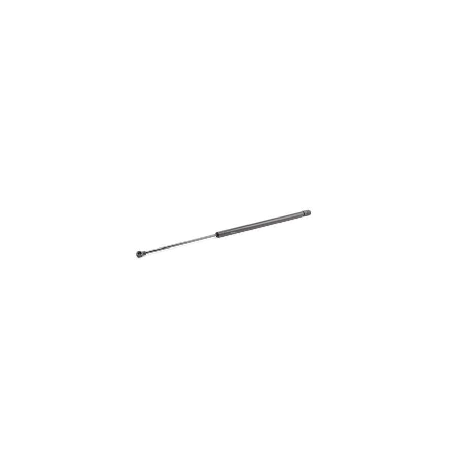 Tailgate Strut - RIDEX 219G0622