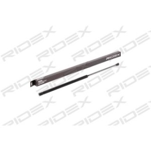 Tailgate Strut - RIDEX 219G0622