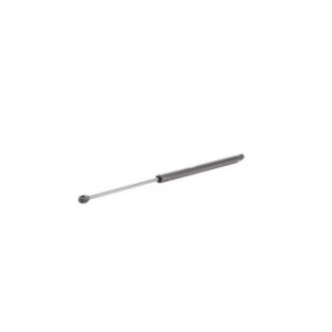 Tailgate Strut - RIDEX 219G0634