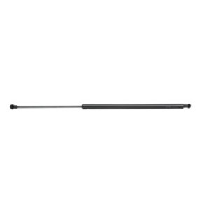 Tailgate Strut - RIDEX 219G0641