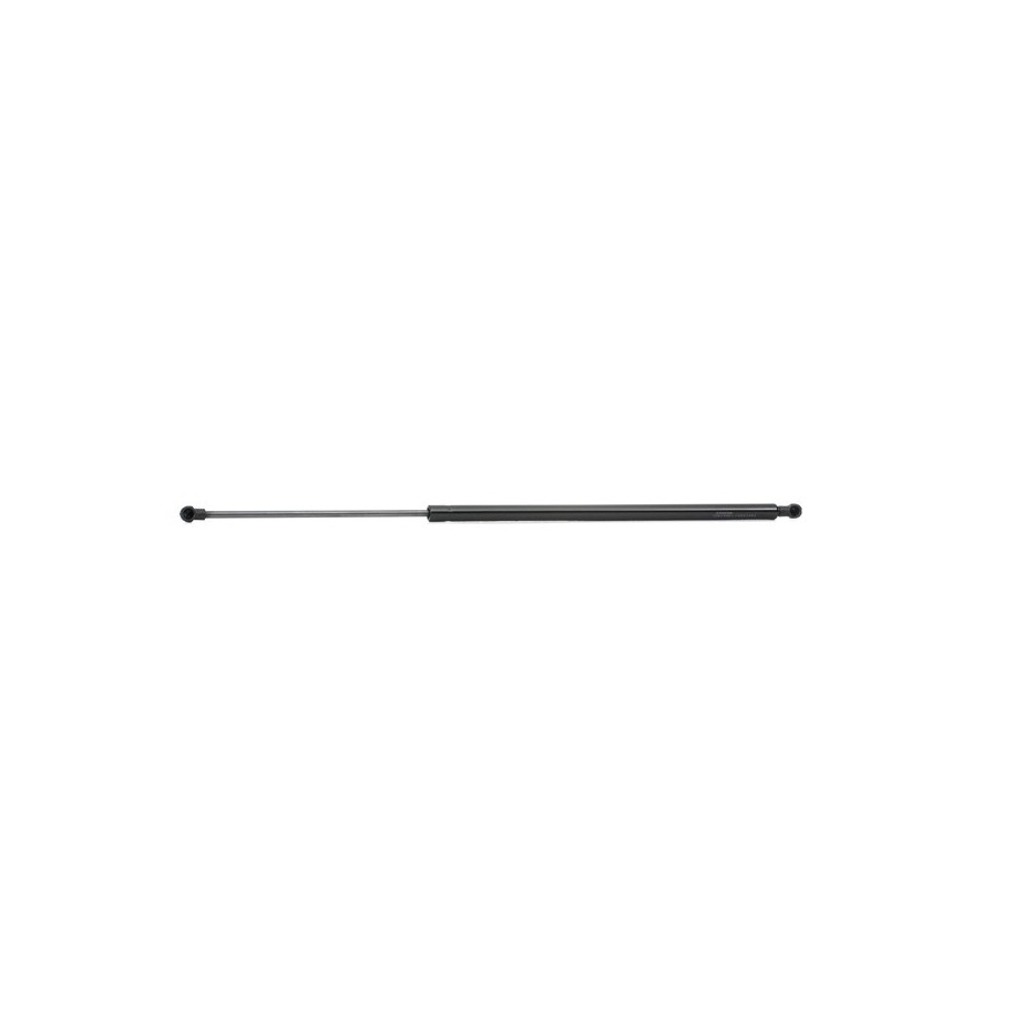 Tailgate Strut - RIDEX 219G0641