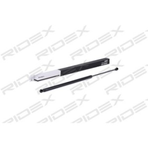 Tailgate Strut - RIDEX 219G0641