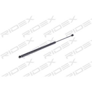 Tailgate Strut - RIDEX 219G0641