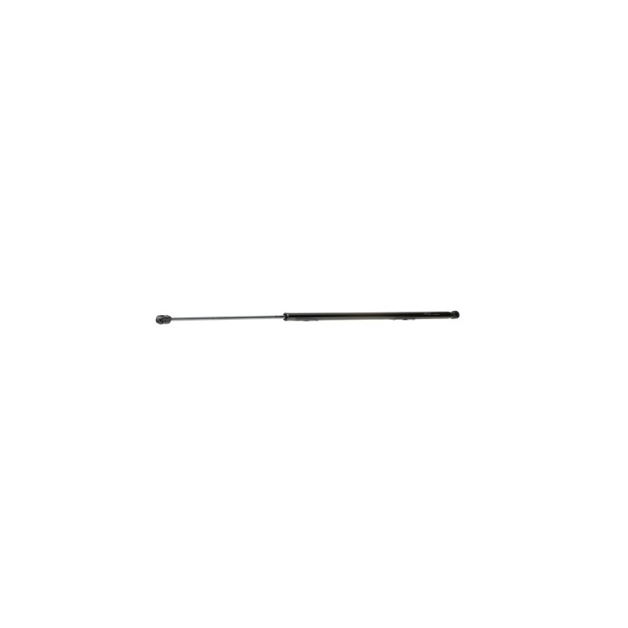 Tailgate Strut - RIDEX 219G0650