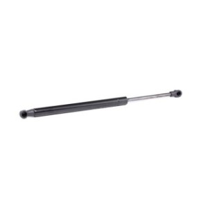 Tailgate Strut - RIDEX 219G0663