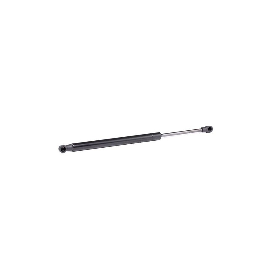 Tailgate Strut - RIDEX 219G0663
