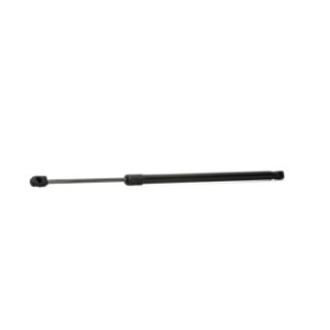 Tailgate Strut - RIDEX 219G0673