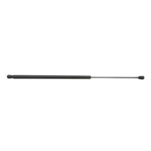 Tailgate Strut - RIDEX 219G0679
