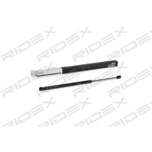 Tailgate Strut - RIDEX 219G0689